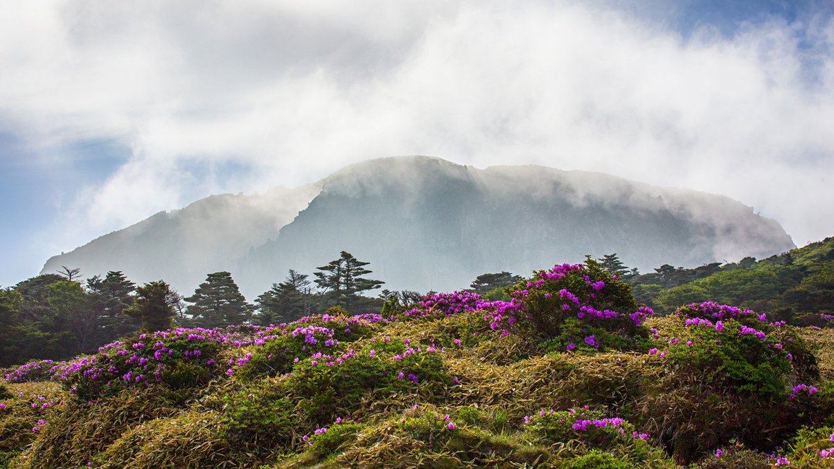 Халласан — потухший вулкан на острове Чеджудо